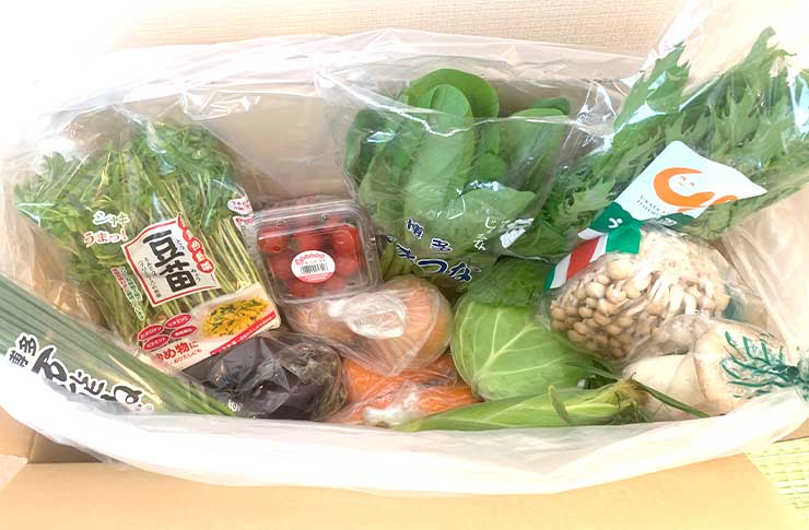 おおつる青果さんのおまかせ九州野菜セット15品開封