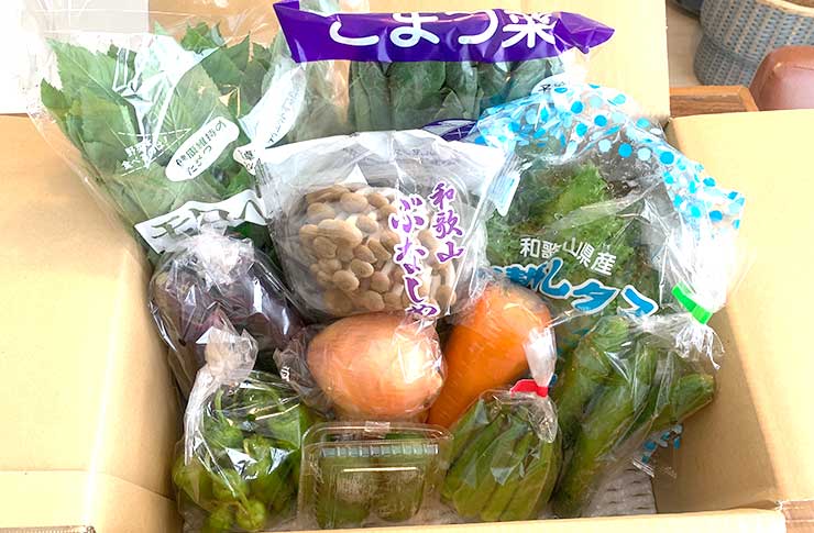 紀州田舎の小さな八百屋さん 新鮮野菜詰め合わせセット（10種類以上）おすすめ